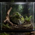 thumbnail image 5 of zhonghuaying Non-Hollow Artificial Rock, Moss Rock, Decorative Rocks, PU Foam Stone for Outdoor Landscaping Yard, Indoor Window Display(6.29x10.23 in), 5 of 8