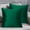 Green, variant on NWOKYZGH 1 Pack Velvet Cozy Decorative Throw Pillow 18x18 Soft Cushion for Couch Sofa Bed