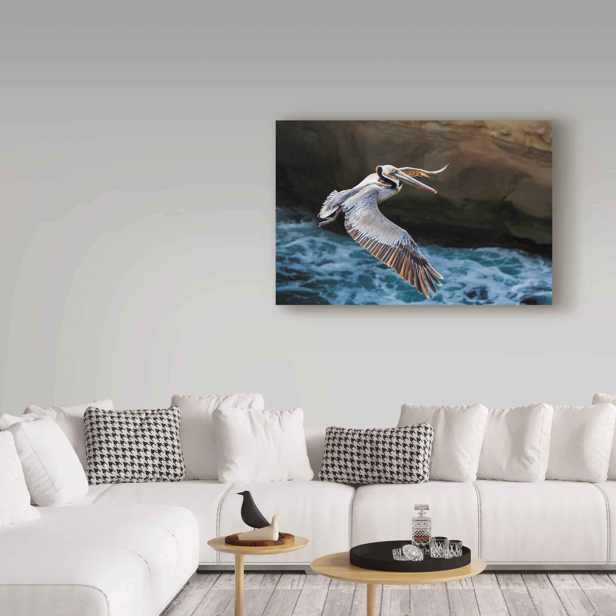 Trademark Fine Art 'Pelican Flight' Canvas Art by Chris Moyer