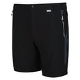 thumbnail image 4 of Regatta Hommes de Montagne II Shorts, 4 of 8