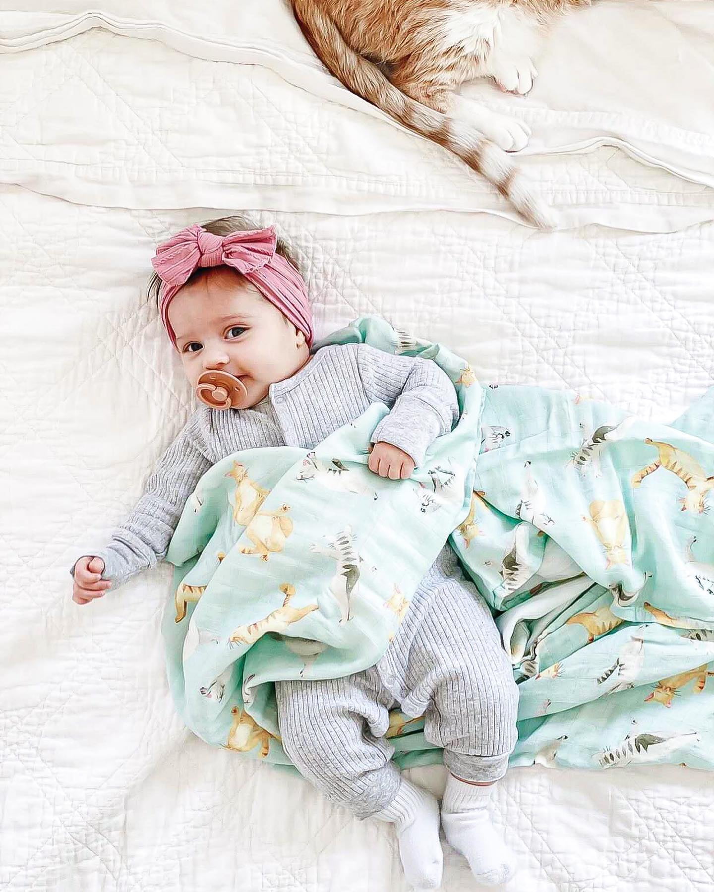 Swaddle & Bandana Bib Set - Yoga Cat