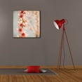 thumbnail image 6 of Epic Graffiti 'Spring Whispers 4' by Jessica Rogers, Canvas Wall Art, 26"x26", 6 of 8
