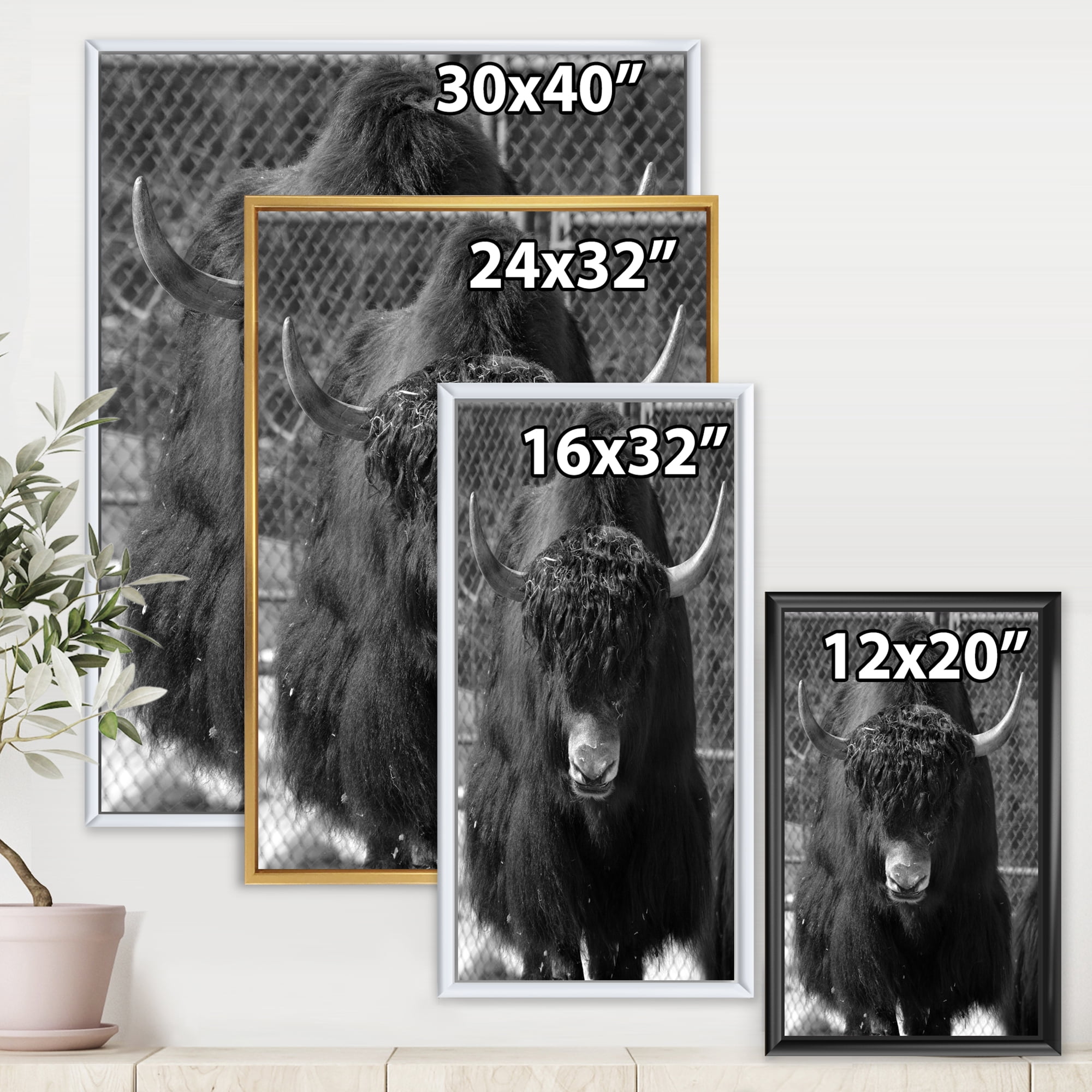 Portrait Of Monochrome Wild Bull In Winter Forest II 12 in x 20 in Framed Photography Canvas Art Print, by Designart