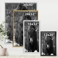 thumbnail image 4 of Designart 'Portrait Of Monochrome Wild Bull In Winter Forest II' Farmhouse Framed Canvas Wall Art Print, 4 of 5