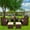 Wood Grain Rattan, Khaki Cushion, variant on 7 Piece Indoor Outdoor Wicker Dining Set Furniture, Patio Rattan Furniture Set with Wood Tabletop and Armrest Chairs, All-Weather Sectional Conversation Set with Cushions for Patio Backyard, Deck