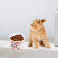 thumbnail image 4 of Juego de de cerámica para gatos, de comida y agua para gatos grandes mayores, 65 mm x 105 mm x 90 mm jinwen Cuenco elevado para gatos, 4 of 8