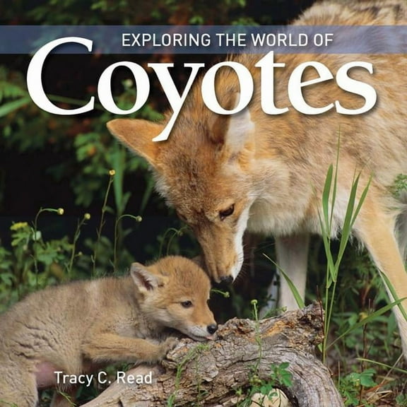 Exploring the World of: Exploring the World of Coyotes (Hardcover)