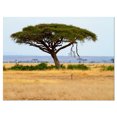 thumbnail image 2 of Acadia Tree and Cheetah in Africa - Oversized African Landscape Canvas Art, 2 of 3