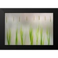 thumbnail image 2 of Van Son, Greetje 18x13 Black Modern Framed Museum Art Print Titled - Harmony, 2 of 5