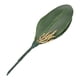 thumbnail image 1 of Hojas de Orquídeas Phalaenopsis Verdes Artificiales Arreglo de Plantas de Tacto Real para Decoración de Bonsái de Jardín de Flores ANGGREK  Otros, 1 of 8