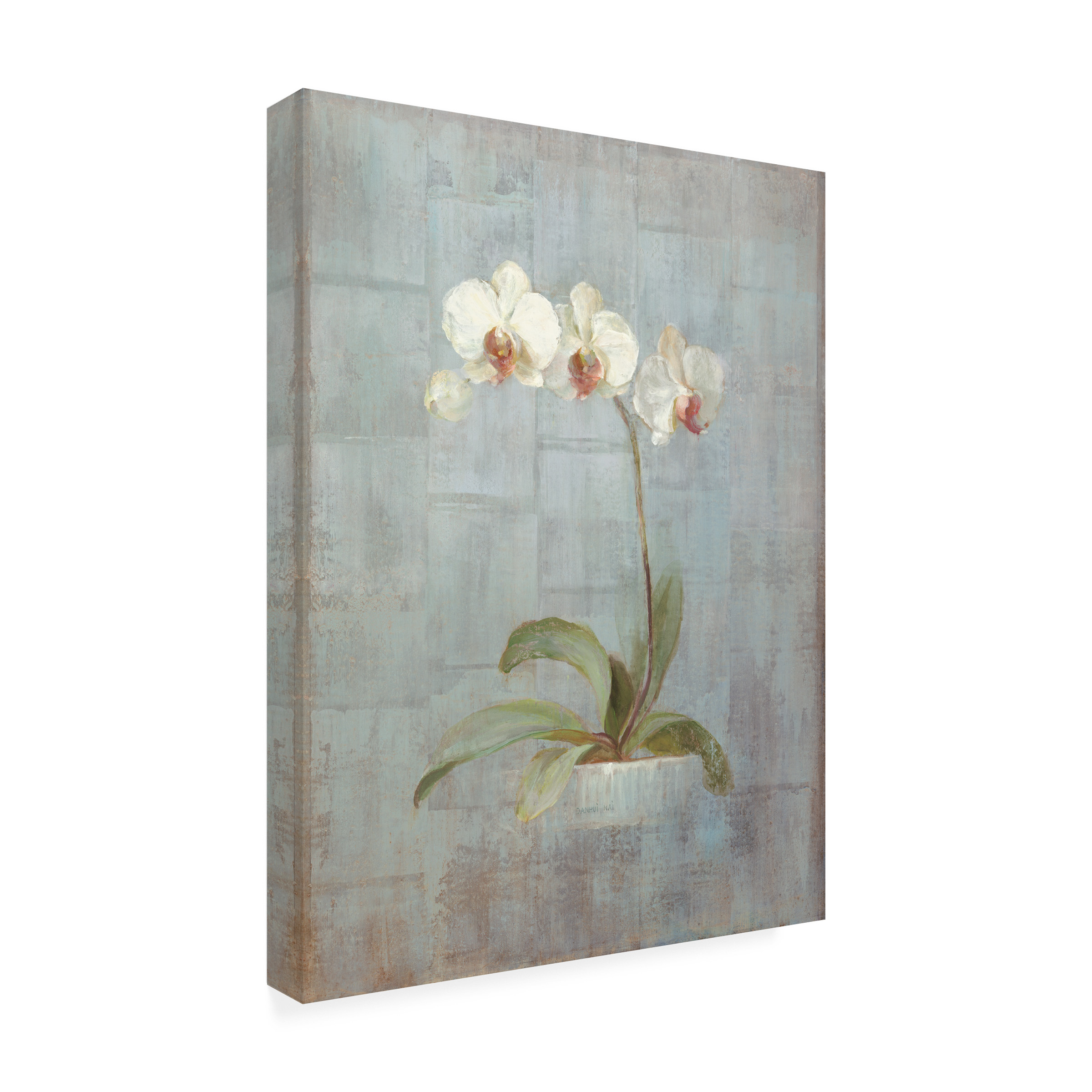 Trademark Fine Art 'Elegant Orchid II' Canvas Art by Danhui Nai