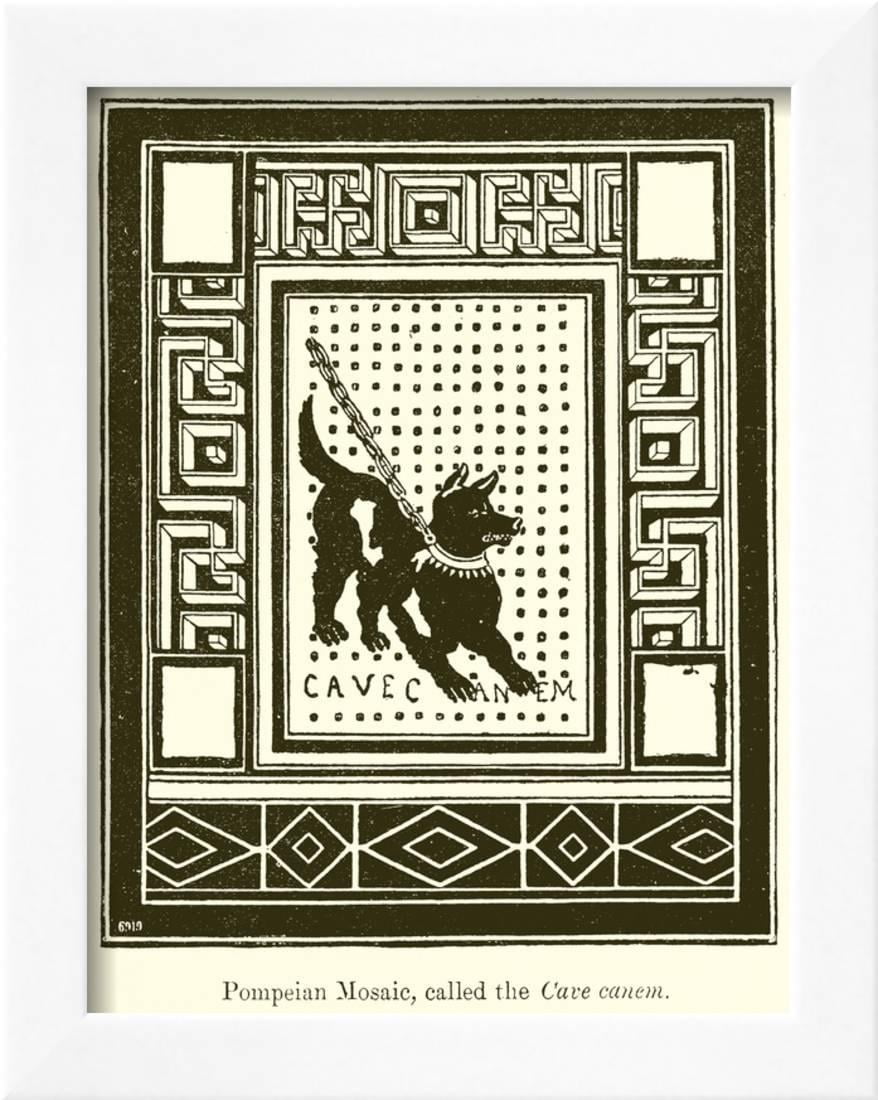 Pompeian Mosaic Called The Cave Canem Framed Print Wall Art