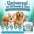 thumbnail image 5 of Dog Dental Powder for Teeth Cleaning – Plaque Remover with Probiotics & Kelp, 3.52 oz, 5 of 9