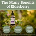 thumbnail image 3 of (Pack Of 3) Quantum Elderberry Extract 2 Oz, 3 of 8