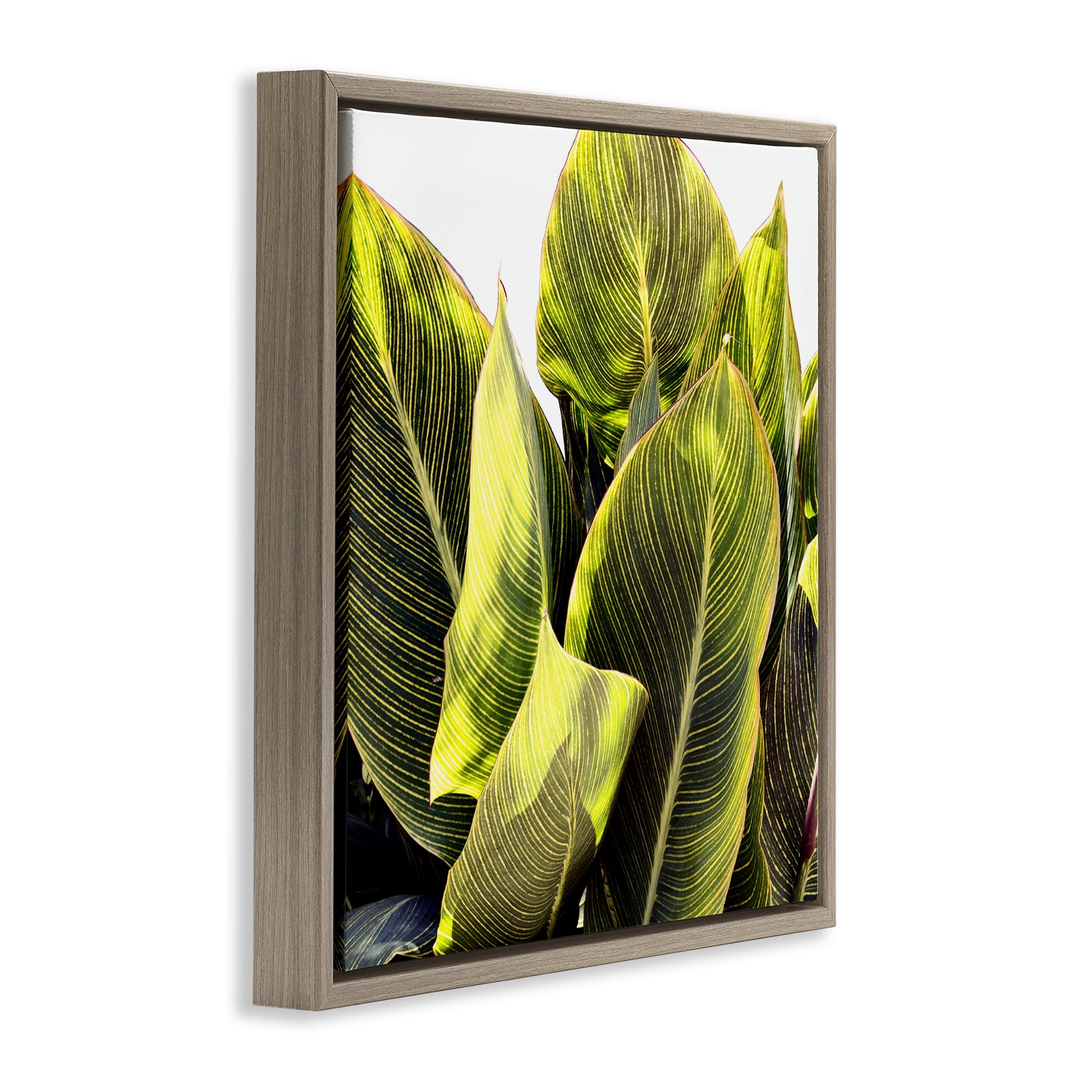Stupell Industries Bright Tropical Leaves Botanical & Floral Painting Brown Floater Framed Art Print Wall Art, 25 x 25