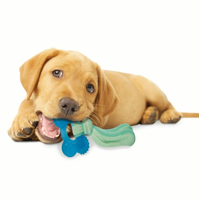 Nylabone chill top and chew