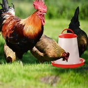 Limei Chick Feeder and Waterer Kit Hanging Poultry Feeder Plastic Poultry Fountain Poultry Feeder for Farm, Coop, Chicken, 1.5 Kg 7.28" x 7.28" (Red)