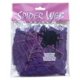 thumbnail image 5 of Stretchy Halloween Spider Silk, 20G Fake SPIDER Silk with 2 Pcs Plastic SPIDER, Spooky Stretch SPIDER Webbing for Indoor & Outdoor Halloween Party Decorations,Purple, 5 of 6