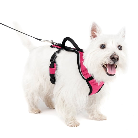 PetSafe EasySport Dog Harness | Great for Runs, Walks, and Hikes | Comfy