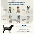 thumbnail image 4 of Pet Sofa: Elevated Sofa Bed for Small & Medium Dogs with Under-Seat Storage, 4 of 7