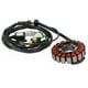thumbnail image 4 of Bobina de estator generador para Honda FL400R Pilot 89-90 31120-HE0-003 31120-HE0-013, 4 of 11