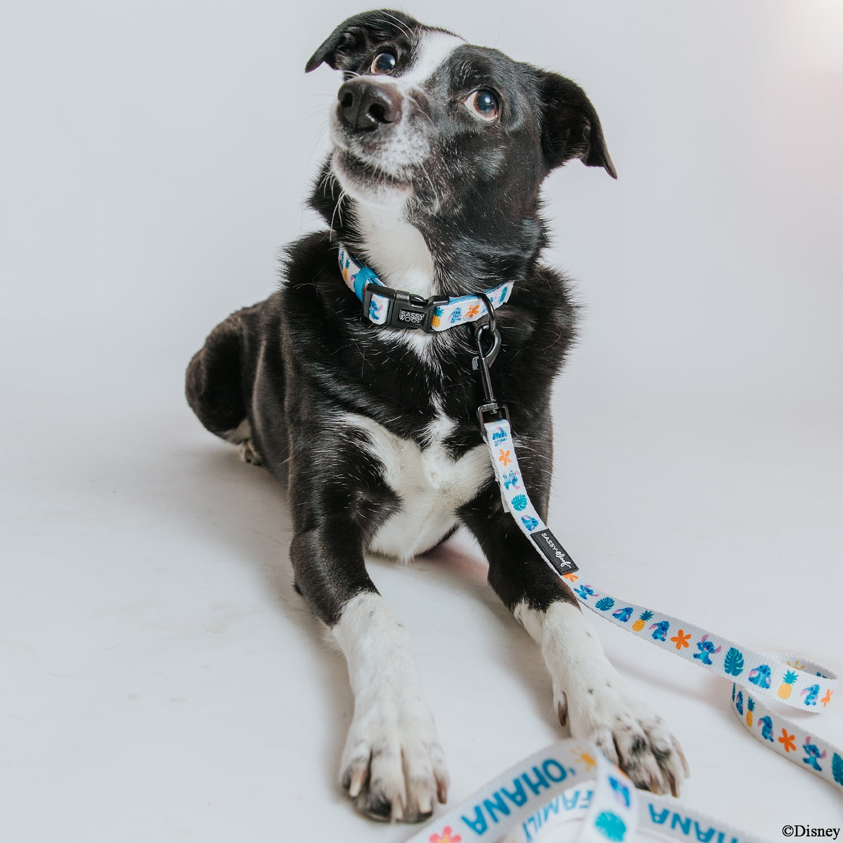 Lilo & Stitch - Sassy Woof Comfort Dog Collar with Disney's Stitch Ohana, Medium, White