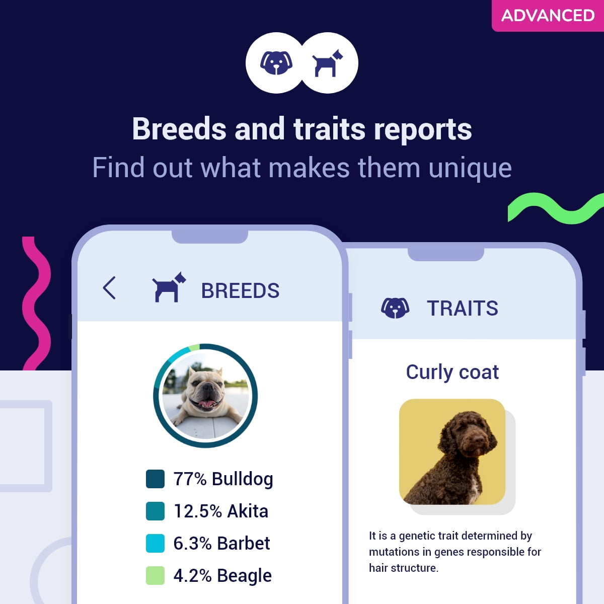 Koko DNA Test for Dogs | Advanced Range | 175 Breeds, Health & Traits Reports | All Fees Included