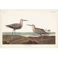 thumbnail image 2 of Audubon, John James 32x23 White Modern Wood Framed Museum Art Print Titled - Pl. 344 Long-legged Sandpiper, 2 of 4