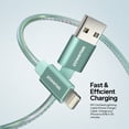 thumbnail image 3 of Powertek MFi Certified USB-A to Lightning Metallic Shine Pastel Charging Cable, 6 ft, Mint, 3 of 6