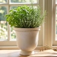 thumbnail image 3 of ZZHZGZ on Sale White Pedestal with Beaded Rim for Indoor Outdoor Display, 3 of 6