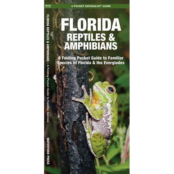 Nature Observation North America Florida Reptiles & Amphibians, (Paperback)