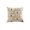 White, variant on Orangide Fall Harvest Pumpkin Pillow Covers Decorative Throw Cushion Case for Sofa Couch Bedroom Autumn Thanksgiving Home Decor