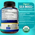 thumbnail image 3 of (2 pack) NutriFlair Organic Sea Moss Capsules, 120 Ct - Immunity, Gut, Energy, 3 of 9