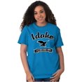 thumbnail image 3 of Idaho Cute Bald Eagle Souvenir Men's Graphic T Shirt Tees Brisco Brands S, 3 of 6