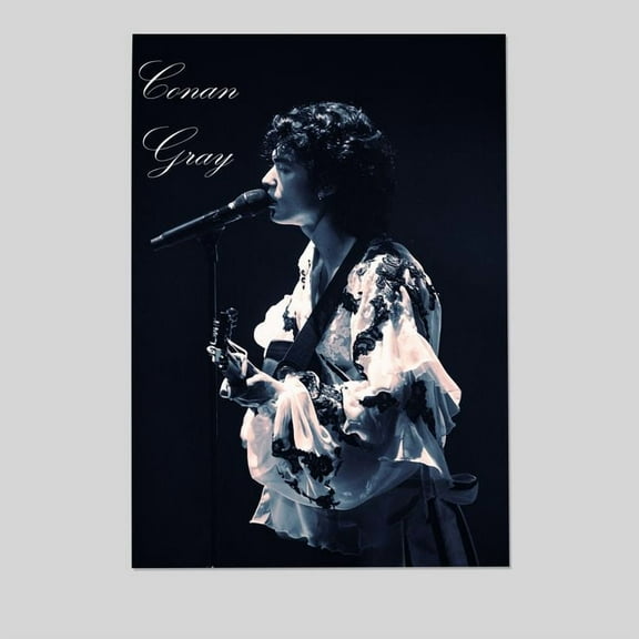 Music Poster- Conan Gray Poster, One Sheet Wall Size 24''x36'' -Gategoo