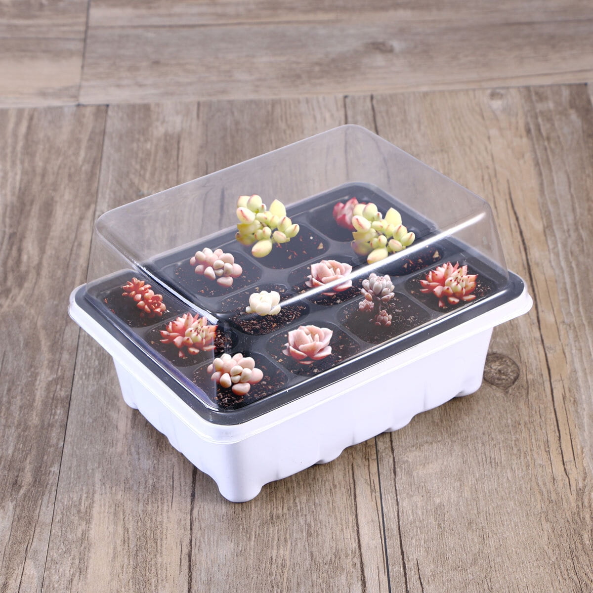 Clispeed  White Sprouter Trays 10Pack for Planting with Heat Preservation and Transparent Lid