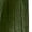 Blackish Green, variant on EnJoCho Girls 2 Pieces Outfits Ribbed Knit Hoodies Flare Pants Sweatshirts Sweatpants Kids 𝖳racksuits 8-14 Years Casual Set Comfy Loung𝖾 𝖠thletic Teenager