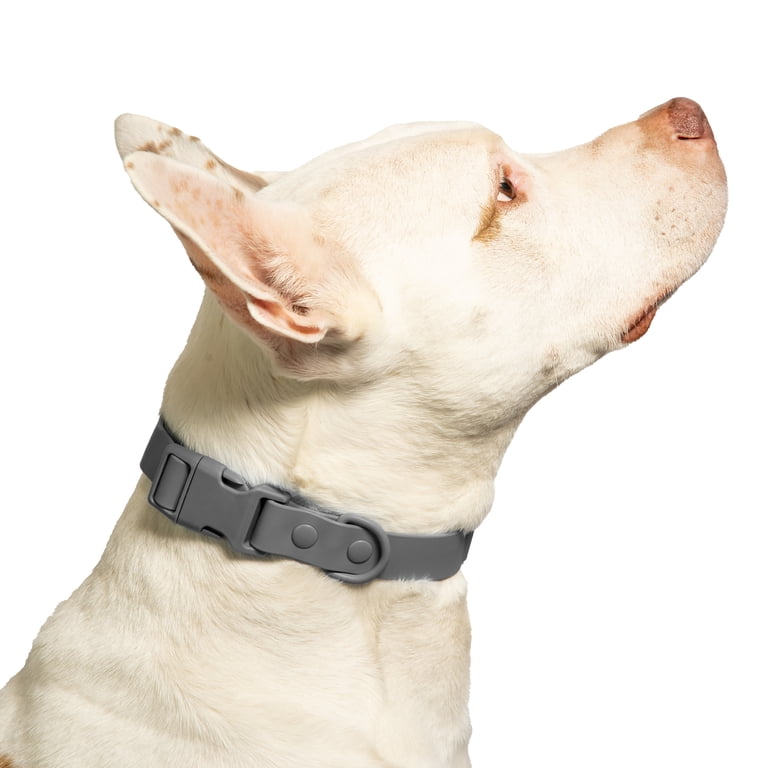 Vibrant Life Water Resistant Adjustable Dog Collar, Gray, L
