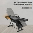 Artist Hand Adjustable Spa Beauty Reclining Furniture, Massage Bed with