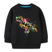 Kalikulu Toddler Boys Sweatshirts Dinosaur Pullover Shirts 2t