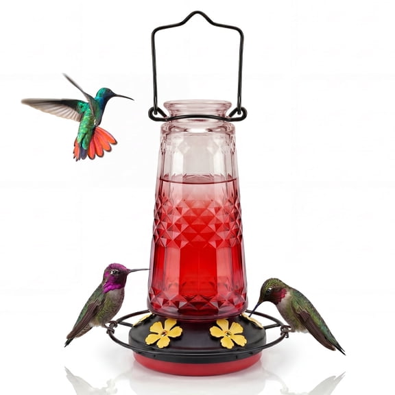 Kingsyard 18.6 oz Red Ombre Glass Hummingbird Feeder, 5 Yellow Ports, Ant Moat Included