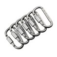 thumbnail image 2 of Mosquetón Clip Mosquetón Llavero Mosquetón De Bloqueo Mosquetón De Aluminio Forma De D Hebilla Paquete Llavero Clip Resorte Clip Llavero Clip Gancho Tornillo Puerta Hebilla Gris 6Pcs 1Pc matsuzay HA024323-02, 2 of 7