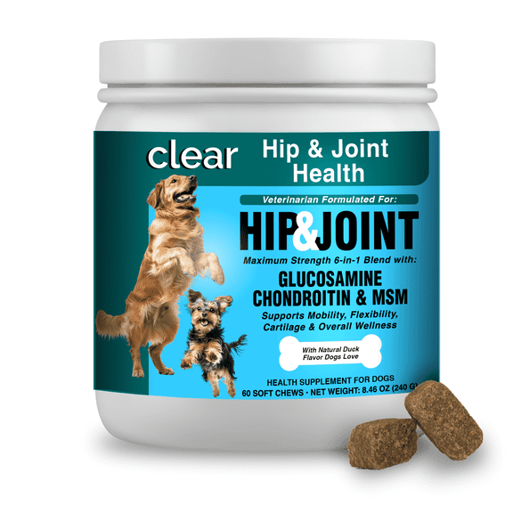 Glucosamine Chondroitin - Dog Hip and Joint Support Supplement - MSM, Green-Lipped Mussel - Advanced Hip & Joint Mobility, Cartilage Support, Bone Health - Tasty Chews 60ct - Made in USA