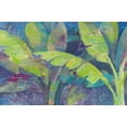 thumbnail image 2 of Hristova, Albena 14x11 Gold Ornate Wood Framed with Double Matting Museum Art Print Titled - Bermuda Palms, 2 of 4