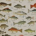thumbnail image 5 of Orinice  Fish Shower Curtain for Man Rustic Retro Fishing Fisherman Shabby Chic Educational Underwater Farmhouse Men Cabin Lake Country  Waterproof Bathroom Home Decor 36x72, 5 of 7