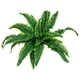 thumbnail image 5 of Plantas artificiales Matsuzay interiores exteriores ecológicas bajo mantenimiento color verde, 5 of 6