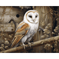 thumbnail image 1 of Nocturnal Elegance - DIY Diamond Painting, 1 of 6