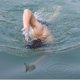 thumbnail image 3 of Medio dedo mano pura pez volador rana silicona pato pies entrenamiento remo natación suministros (M, mujer adulta), 3 of 5