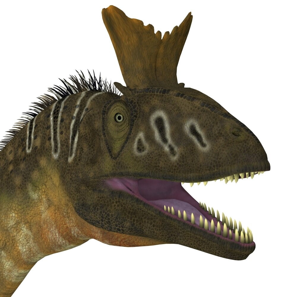 Cryolophosaurus dinosaur head. Cryolophosaurus was a large theropod dinosaur that lived in