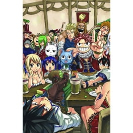 FAIRY TAIL Manga Box Set: FAIRY TAIL Manga Box Set 5 (Series